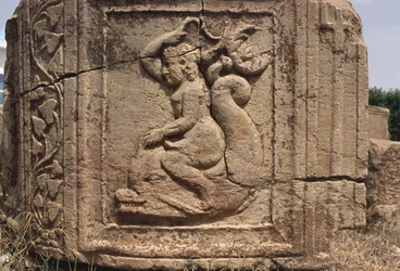 Wassernymphe reitet auf einem Delphin